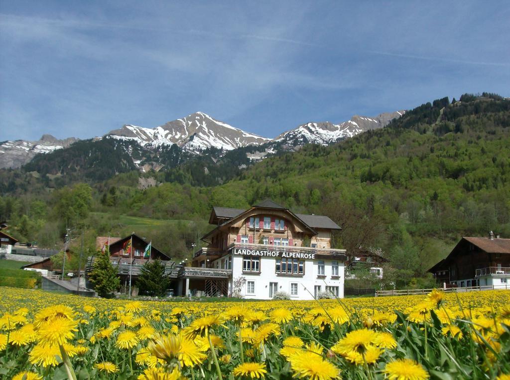 Alpenrose Beim Ballenberg 3* Hofstetten bei Brienz